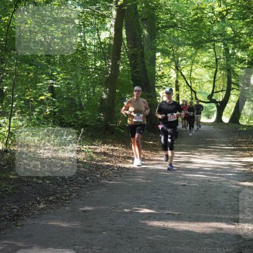 22.09.2024 - 32. Volkslauf durch das schöne Alstertal Miley Keyser http://msf.ph/oto/7135082 22.09.2024 10:50:20 Laufen 2013, 2471 meine-sportfotos.de