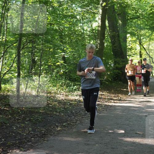 22.09.2024 - 32. Volkslauf durch das schöne Alstertal Miley Keyser http://msf.ph/oto/7135088 22.09.2024 10:50:18 Laufen 3007 meine-sportfotos.de