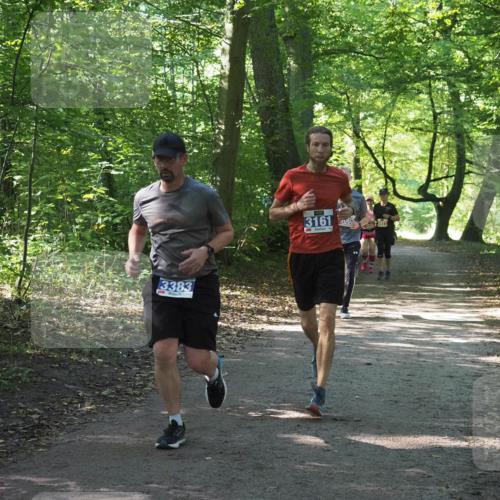 22.09.2024 - 32. Volkslauf durch das schöne Alstertal Miley Keyser http://msf.ph/oto/7135090 22.09.2024 10:50:15 Laufen 3383, 3161 meine-sportfotos.de