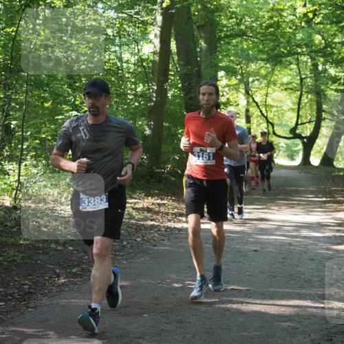 22.09.2024 - 32. Volkslauf durch das schöne Alstertal Miley Keyser http://msf.ph/oto/7135091 22.09.2024 10:50:16 Laufen 3161, 3383 meine-sportfotos.de
