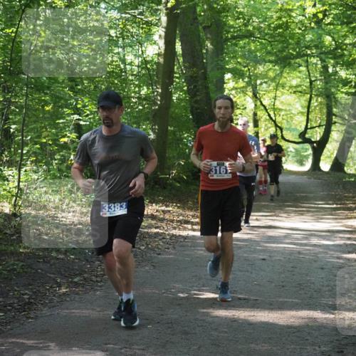 22.09.2024 - 32. Volkslauf durch das schöne Alstertal Miley Keyser http://msf.ph/oto/7135092 22.09.2024 10:50:16 Laufen 3383, 316 meine-sportfotos.de