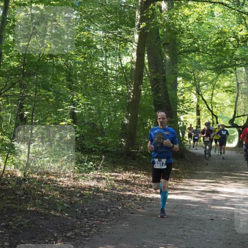 22.09.2024 - 32. Volkslauf durch das schöne Alstertal Miley Keyser http://msf.ph/oto/7135117 22.09.2024 10:50:04 Laufen 3317 meine-sportfotos.de