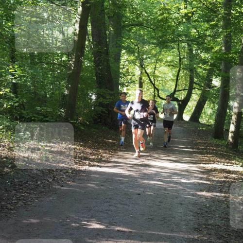 22.09.2024 - 32. Volkslauf durch das schöne Alstertal Miley Keyser http://msf.ph/oto/7135142 22.09.2024 10:49:52 Laufen 3936 meine-sportfotos.de