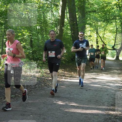 22.09.2024 - 32. Volkslauf durch das schöne Alstertal Miley Keyser http://msf.ph/oto/7135204 22.09.2024 10:49:09 Laufen 2355, 3389 meine-sportfotos.de