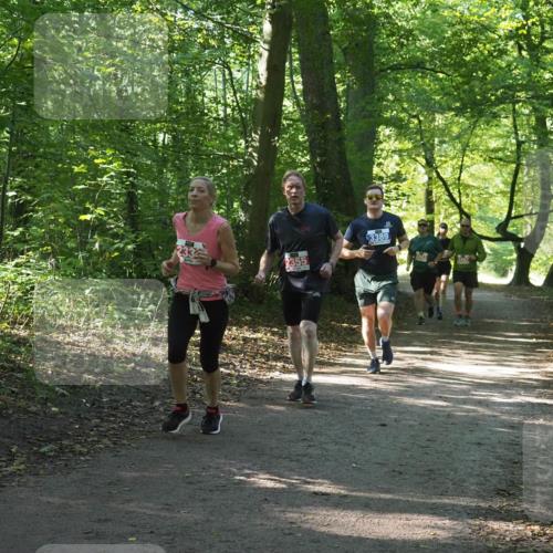 22.09.2024 - 32. Volkslauf durch das schöne Alstertal Miley Keyser http://msf.ph/oto/7135207 22.09.2024 10:49:08 Laufen 2355, 3389 meine-sportfotos.de