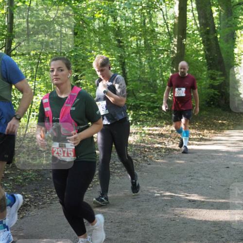 22.09.2024 - 32. Volkslauf durch das schöne Alstertal Miley Keyser http://msf.ph/oto/7135222 22.09.2024 10:49:01 Laufen 2170, 2975 meine-sportfotos.de