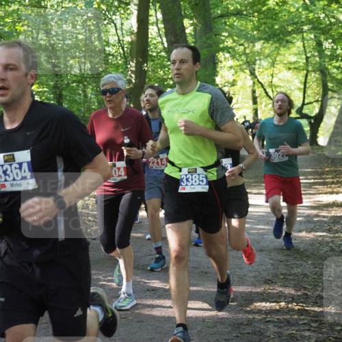 22.09.2024 - 32. Volkslauf durch das schöne Alstertal Miley Keyser http://msf.ph/oto/7135234 22.09.2024 10:48:58 Laufen 3364, 04, 2214, 3385, 302 meine-sportfotos.de