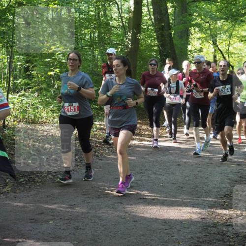 22.09.2024 - 32. Volkslauf durch das schöne Alstertal Miley Keyser http://msf.ph/oto/7135242 22.09.2024 10:48:56 Laufen 01, 2151, 200, 2004, 2003, 2215, 3364, 3385 meine-sportfotos.de
