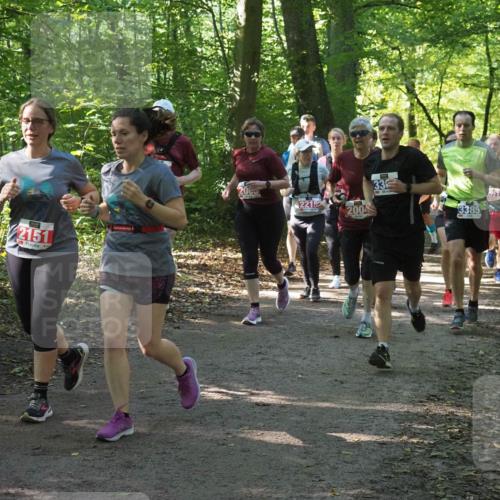 22.09.2024 - 32. Volkslauf durch das schöne Alstertal Miley Keyser http://msf.ph/oto/7135243 22.09.2024 10:48:56 Laufen 2151, 2005, 2215, 2004, 33, 027, 3385 meine-sportfotos.de