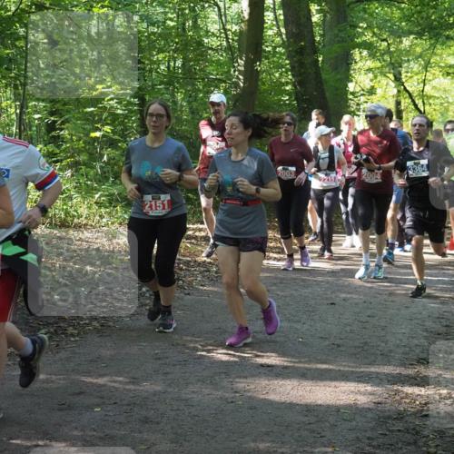 22.09.2024 - 32. Volkslauf durch das schöne Alstertal Miley Keyser http://msf.ph/oto/7135244 22.09.2024 10:48:56 Laufen 2151, 1, 2003, 3364, 2215, 2004, 3385 meine-sportfotos.de