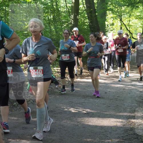 22.09.2024 - 32. Volkslauf durch das schöne Alstertal Miley Keyser http://msf.ph/oto/7135247 22.09.2024 10:48:55 Laufen 2475, 37, 2040, 2151, 2004 meine-sportfotos.de
