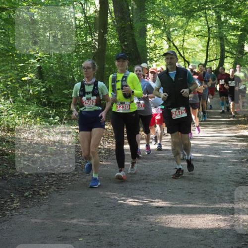 22.09.2024 - 32. Volkslauf durch das schöne Alstertal Miley Keyser http://msf.ph/oto/7135254 22.09.2024 10:48:53 Laufen 2502, 2230, 037, 2001, 2475 meine-sportfotos.de