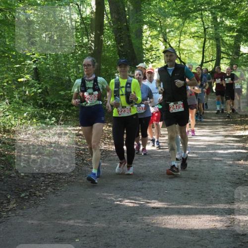 22.09.2024 - 32. Volkslauf durch das schöne Alstertal Miley Keyser http://msf.ph/oto/7135257 22.09.2024 10:48:53 Laufen 2502, 2230, 037, 001, 2475 meine-sportfotos.de