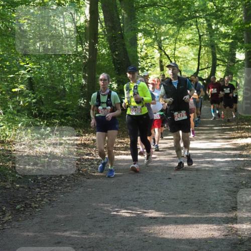 22.09.2024 - 32. Volkslauf durch das schöne Alstertal Miley Keyser http://msf.ph/oto/7135258 22.09.2024 10:48:52 Laufen 2502, 2230, 201, 2475 meine-sportfotos.de