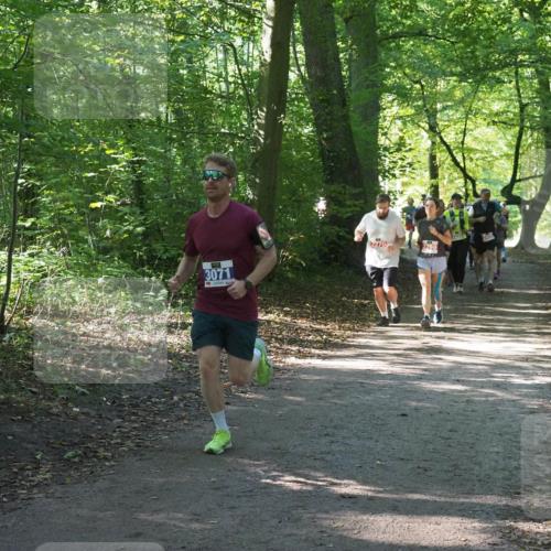 22.09.2024 - 32. Volkslauf durch das schöne Alstertal Miley Keyser http://msf.ph/oto/7135265 22.09.2024 10:48:46 Laufen 3071, 2270, 2269 meine-sportfotos.de