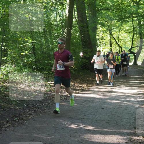 22.09.2024 - 32. Volkslauf durch das schöne Alstertal Miley Keyser http://msf.ph/oto/7135268 22.09.2024 10:48:46 Laufen 3071, 2269, 230 meine-sportfotos.de