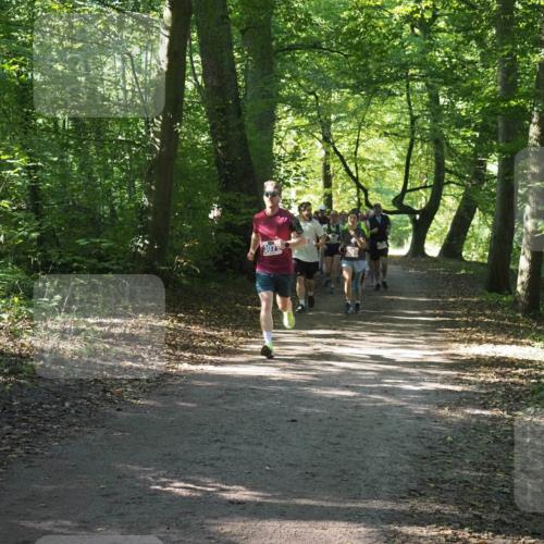 22.09.2024 - 32. Volkslauf durch das schöne Alstertal Miley Keyser http://msf.ph/oto/7135270 22.09.2024 10:48:45 Laufen 307 meine-sportfotos.de
