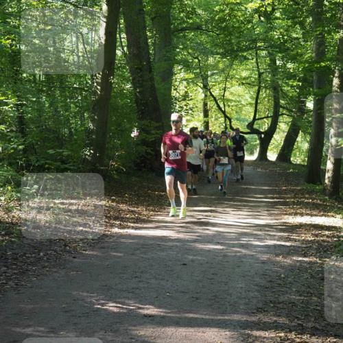 22.09.2024 - 32. Volkslauf durch das schöne Alstertal Miley Keyser http://msf.ph/oto/7135271 22.09.2024 10:48:45 Laufen 3071, 0 meine-sportfotos.de