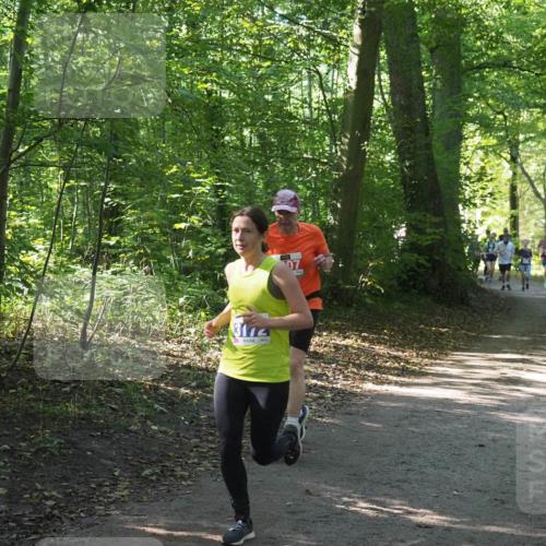 22.09.2024 - 32. Volkslauf durch das schöne Alstertal Miley Keyser http://msf.ph/oto/7135280 22.09.2024 10:48:37 Laufen  meine-sportfotos.de