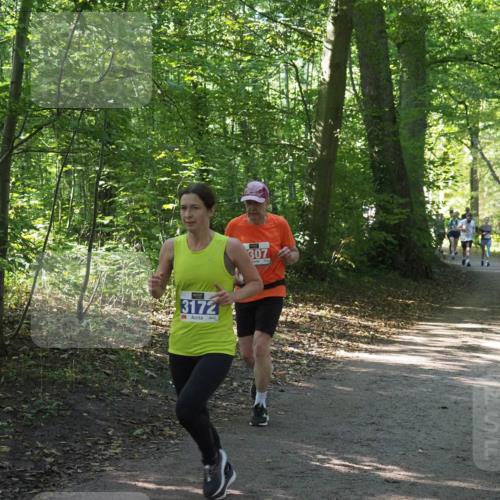22.09.2024 - 32. Volkslauf durch das schöne Alstertal Miley Keyser http://msf.ph/oto/7135281 22.09.2024 10:48:37 Laufen 3172, 307 meine-sportfotos.de