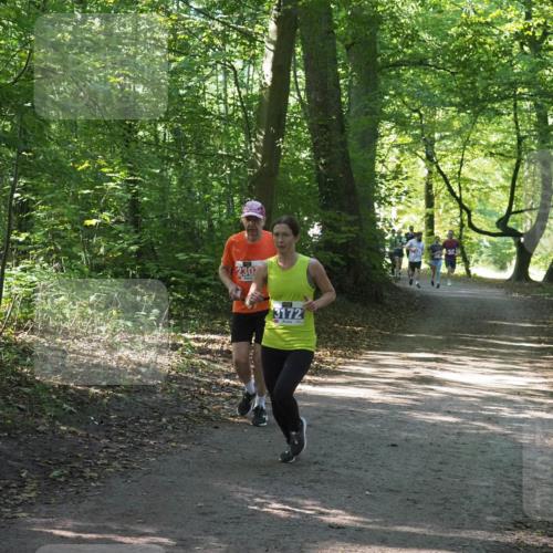 22.09.2024 - 32. Volkslauf durch das schöne Alstertal Miley Keyser http://msf.ph/oto/7135284 22.09.2024 10:48:37 Laufen 230, 3172 meine-sportfotos.de
