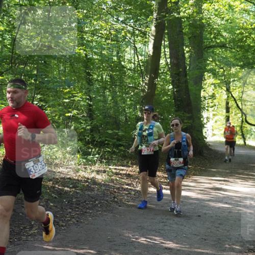 22.09.2024 - 32. Volkslauf durch das schöne Alstertal Miley Keyser http://msf.ph/oto/7135294 22.09.2024 10:48:30 Laufen 3965, 2537, 2007 meine-sportfotos.de
