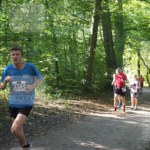 22.09.2024 - 32. Volkslauf durch das schöne Alstertal Miley Keyser http://msf.ph/oto/7135299 22.09.2024 10:48:28 Laufen 3344 meine-sportfotos.de