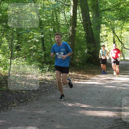 22.09.2024 - 32. Volkslauf durch das schöne Alstertal Miley Keyser http://msf.ph/oto/7135302 22.09.2024 10:48:27 Laufen 3344 meine-sportfotos.de