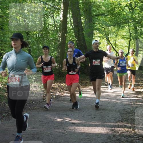 22.09.2024 - 32. Volkslauf durch das schöne Alstertal Miley Keyser http://msf.ph/oto/7135327 22.09.2024 10:48:21 Laufen 2552, 2100, 2103, 3330, 41 meine-sportfotos.de