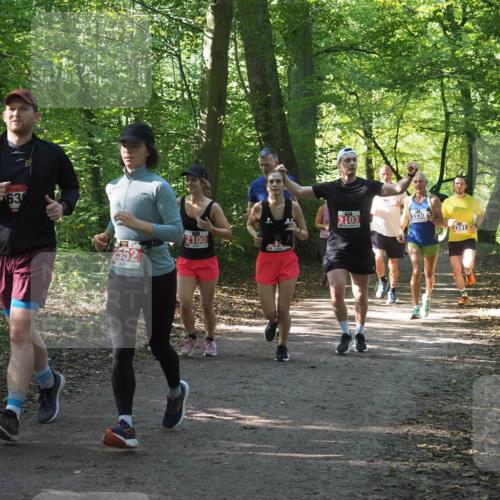 22.09.2024 - 32. Volkslauf durch das schöne Alstertal Miley Keyser http://msf.ph/oto/7135329 22.09.2024 10:48:21 Laufen 63, 2552, 2100, 2103, 3330, 3341 meine-sportfotos.de