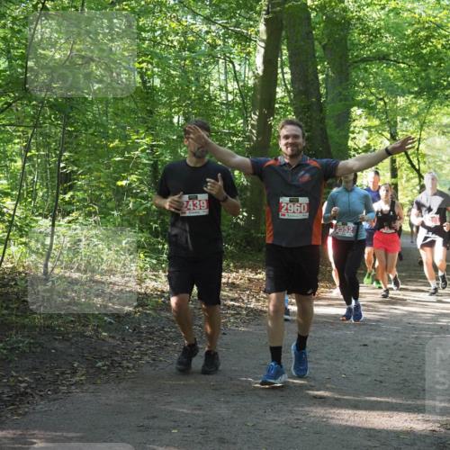 22.09.2024 - 32. Volkslauf durch das schöne Alstertal Miley Keyser http://msf.ph/oto/7135338 22.09.2024 10:48:19 Laufen 55, 2439, 2960, 2552, 2330 meine-sportfotos.de