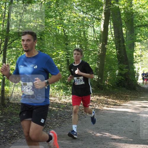 22.09.2024 - 32. Volkslauf durch das schöne Alstertal Miley Keyser http://msf.ph/oto/7135355 22.09.2024 10:48:08 Laufen 282, 3323 meine-sportfotos.de