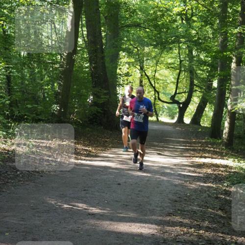 22.09.2024 - 32. Volkslauf durch das schöne Alstertal Miley Keyser http://msf.ph/oto/7135368 22.09.2024 10:47:57 Laufen 3182 meine-sportfotos.de