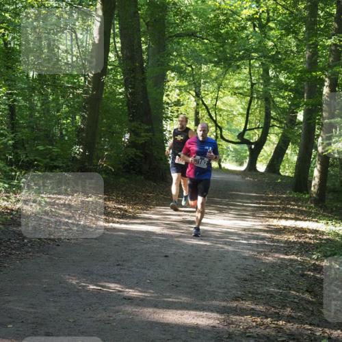 22.09.2024 - 32. Volkslauf durch das schöne Alstertal Miley Keyser http://msf.ph/oto/7135370 22.09.2024 10:47:57 Laufen 242, 182 meine-sportfotos.de