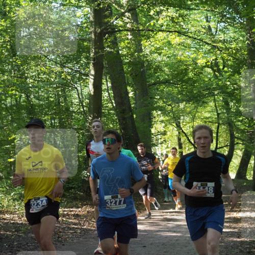 22.09.2024 - 32. Volkslauf durch das schöne Alstertal Miley Keyser http://msf.ph/oto/7135391 22.09.2024 10:47:45 Laufen 3234, 3277 meine-sportfotos.de