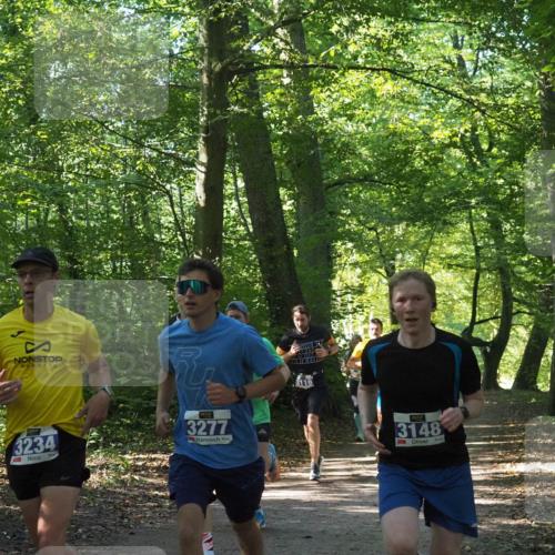 22.09.2024 - 32. Volkslauf durch das schöne Alstertal Miley Keyser http://msf.ph/oto/7135393 22.09.2024 10:47:45 Laufen 3234, 3277, 2635, 3148 meine-sportfotos.de