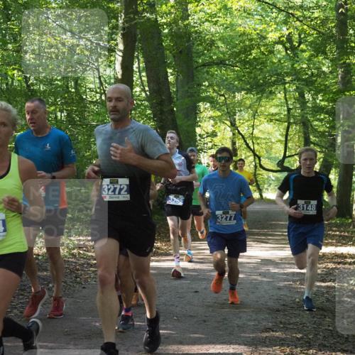 22.09.2024 - 32. Volkslauf durch das schöne Alstertal Miley Keyser http://msf.ph/oto/7135394 22.09.2024 10:47:44 Laufen 404, 3272, 3365, 3277, 3148 meine-sportfotos.de