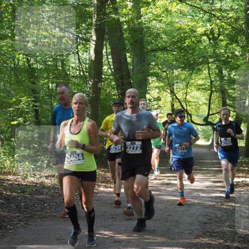 22.09.2024 - 32. Volkslauf durch das schöne Alstertal Miley Keyser http://msf.ph/oto/7135396 22.09.2024 10:47:43 Laufen 3234, 3272, 3148, 3404, 3277 meine-sportfotos.de