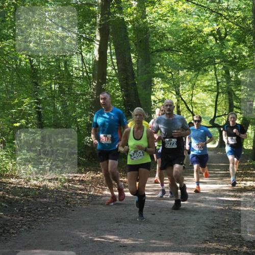 22.09.2024 - 32. Volkslauf durch das schöne Alstertal Miley Keyser http://msf.ph/oto/7135400 22.09.2024 10:47:43 Laufen 2512, 3404, 3272 meine-sportfotos.de
