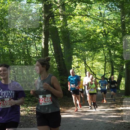 22.09.2024 - 32. Volkslauf durch das schöne Alstertal Miley Keyser http://msf.ph/oto/7135404 22.09.2024 10:47:41 Laufen 2248, 2246, 214 meine-sportfotos.de