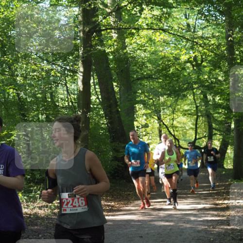 22.09.2024 - 32. Volkslauf durch das schöne Alstertal Miley Keyser http://msf.ph/oto/7135405 22.09.2024 10:47:41 Laufen 2248, 2246, 3404 meine-sportfotos.de