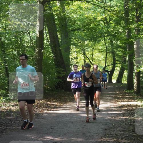 22.09.2024 - 32. Volkslauf durch das schöne Alstertal Miley Keyser http://msf.ph/oto/7135413 22.09.2024 10:47:38 Laufen 2237, 248, 2959 meine-sportfotos.de