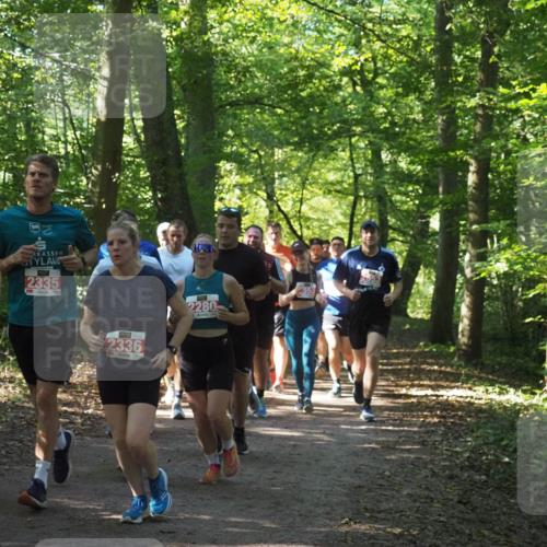 22.09.2024 - 32. Volkslauf durch das schöne Alstertal Miley Keyser http://msf.ph/oto/7135443 22.09.2024 10:47:29 Laufen 75, 2458, 2335, 2336, 2280, 551 meine-sportfotos.de