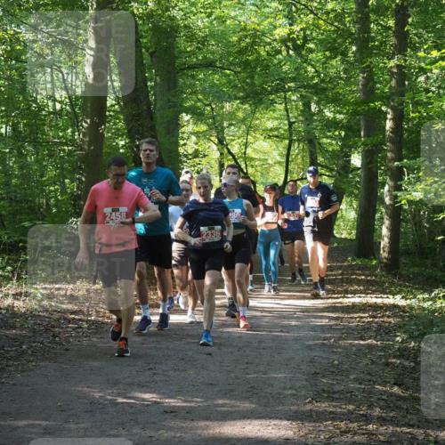 22.09.2024 - 32. Volkslauf durch das schöne Alstertal Miley Keyser http://msf.ph/oto/7135448 22.09.2024 10:47:28 Laufen 2458, 2336, 80 meine-sportfotos.de