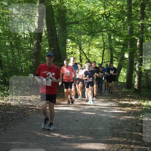 22.09.2024 - 32. Volkslauf durch das schöne Alstertal Miley Keyser http://msf.ph/oto/7135455 22.09.2024 10:47:26 Laufen 2538, 2458, 278, 2336 meine-sportfotos.de