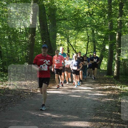 22.09.2024 - 32. Volkslauf durch das schöne Alstertal Miley Keyser http://msf.ph/oto/7135458 22.09.2024 10:47:26 Laufen 538, 2458, 2278 meine-sportfotos.de