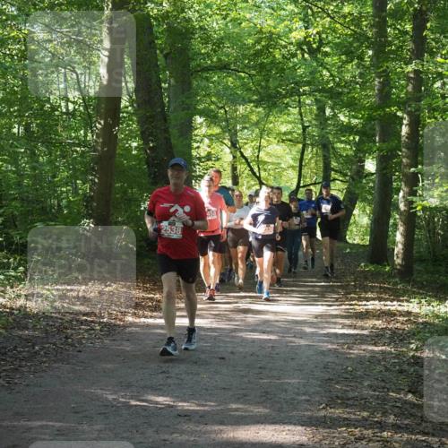 22.09.2024 - 32. Volkslauf durch das schöne Alstertal Miley Keyser http://msf.ph/oto/7135462 22.09.2024 10:47:26 Laufen 2538, 458 meine-sportfotos.de