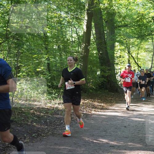 22.09.2024 - 32. Volkslauf durch das schöne Alstertal Miley Keyser http://msf.ph/oto/7135465 22.09.2024 10:47:24 Laufen 40, 2505 meine-sportfotos.de