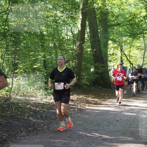 22.09.2024 - 32. Volkslauf durch das schöne Alstertal Miley Keyser http://msf.ph/oto/7135467 22.09.2024 10:47:24 Laufen 2569 meine-sportfotos.de