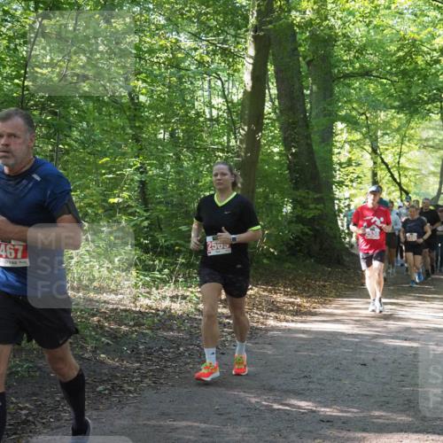 22.09.2024 - 32. Volkslauf durch das schöne Alstertal Miley Keyser http://msf.ph/oto/7135469 22.09.2024 10:47:24 Laufen 2467, 2538 meine-sportfotos.de